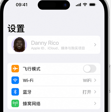 咸安appleID维修服务iPhone设置中Apple ID显示为灰色无法使用 