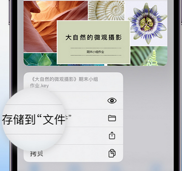 咸安apple维修中心分享iPhone文件应用中存储和找到下载文件