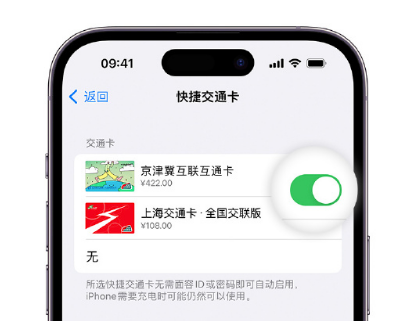 咸安apple维修点分享iPhone上更换Apple Pay快捷交通卡手绘卡面 