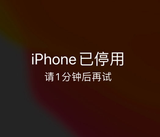 咸安苹果手机维修分享:iPhone 显示“不可用”或“已停用”怎么办？还能保留数据吗？ 