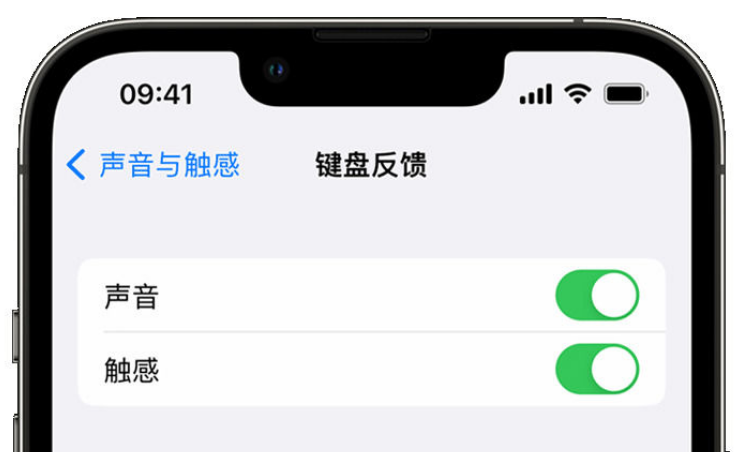 咸安苹果手机维修分享iPhone 14触感键盘使用方法 