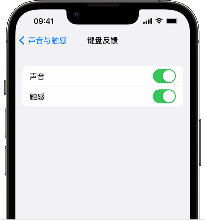 咸安苹果14维修店分享如何在 iPhone 14 机型中使用触感键盘 