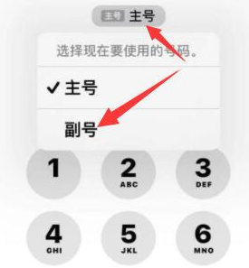 咸安苹果14维修店分享iPhone 14 Pro Max使用副卡打电话的方法 