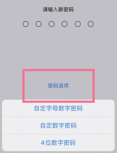 咸安苹果14维修分享iPhone 14plus设置密码的方法 