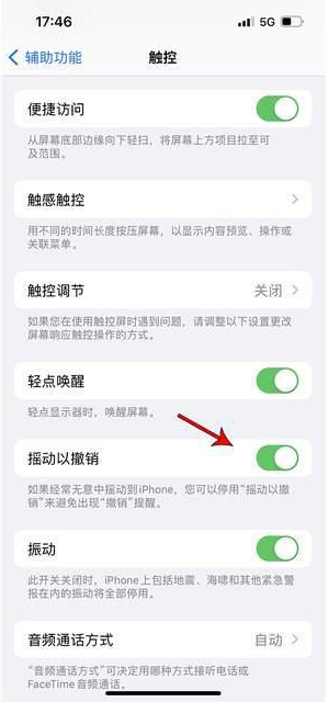 咸安苹果手机维修分享iPhone手机如何设置摇一摇删除文字 